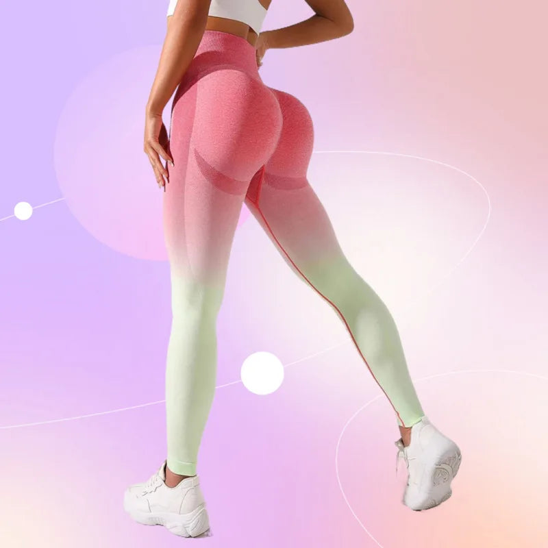 47762206359838|47762206392606|47762206425374