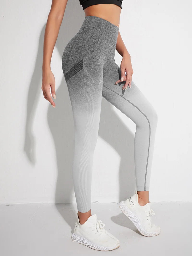 47762206654750|47762206687518|47762206720286