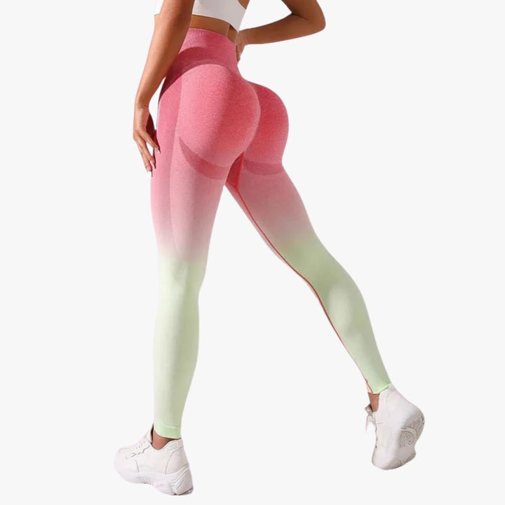 Gradient Seamless Leggings